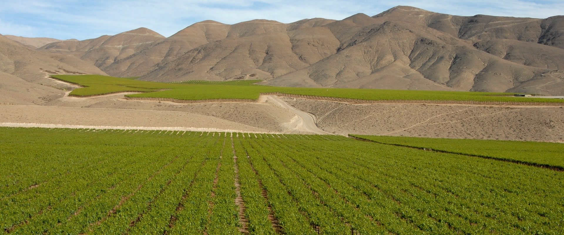 Tu sueño inmobiliario hecho realidad